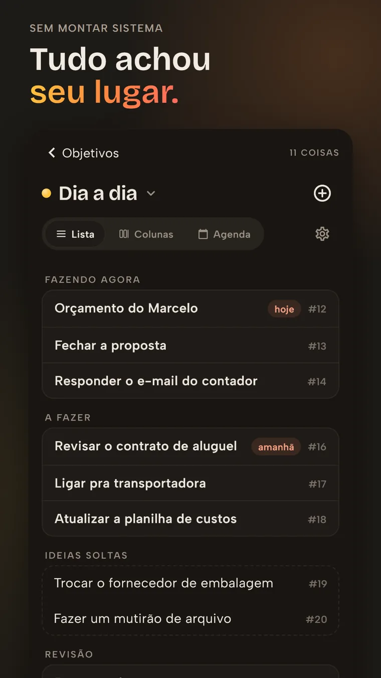 Tela do Vidally organizando tarefas