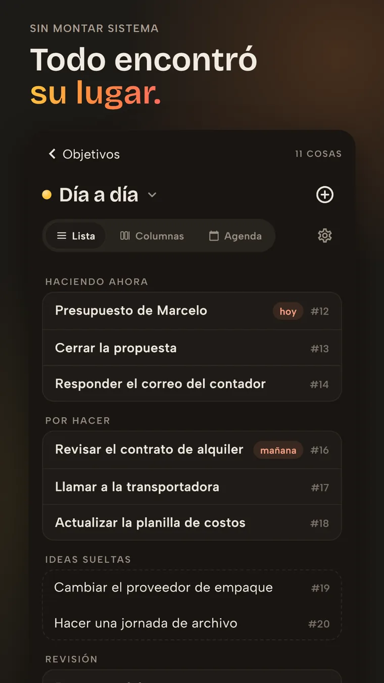 Pantalla de Vidally organizando tareas